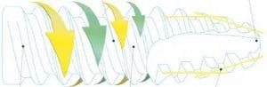 Dental Implant, Conical Connection, Primary Stability, Bioner, TopDM