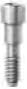 Surgical Screw (Bioner)